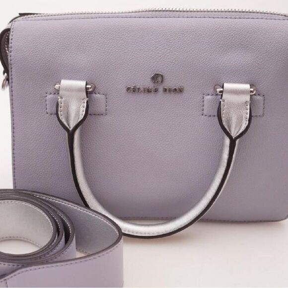 𝅺CELINE Dion mini bag purse silver grey crossbody bag handbag - Picture 3 of 14